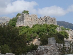 DSC06574_Nimrod_crop